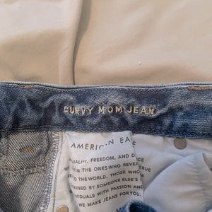 AE Curvy Mom jean
